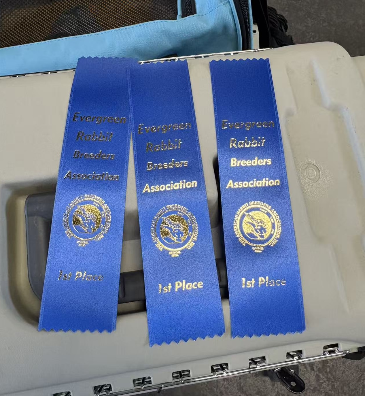 3 First Place Wins at the Washington State ERBA Show!