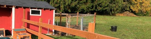 Tangled Woods Rabbitry